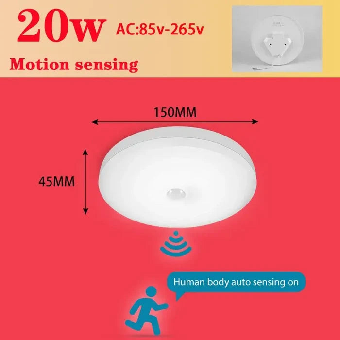 20W Sensor lights / 85V-265V / Cold White