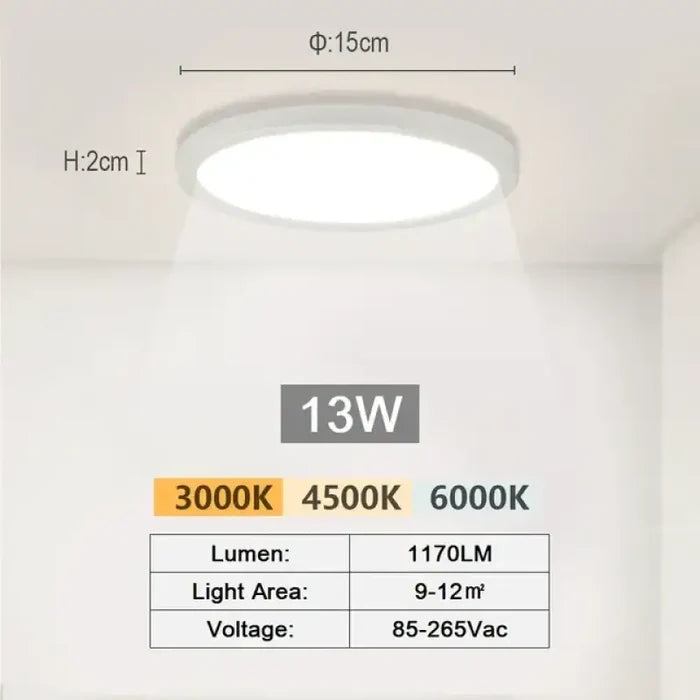 Small Cold White-13W