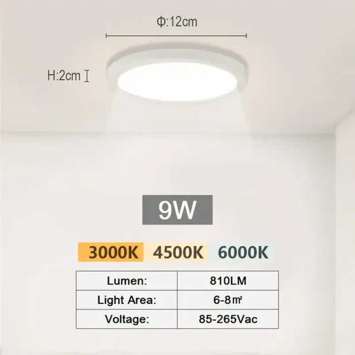 Small Cold White-9W