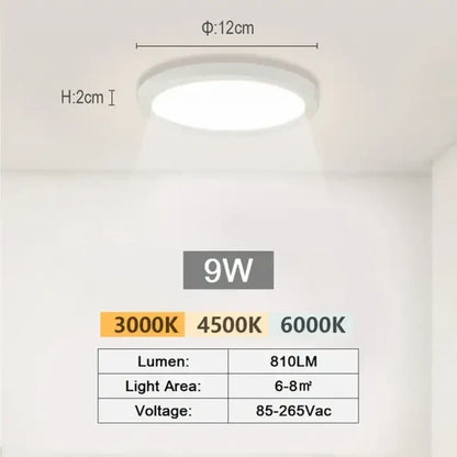 Small Cold White-9W