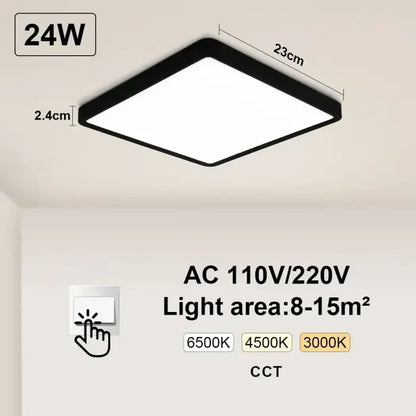 Black-Switch-24W