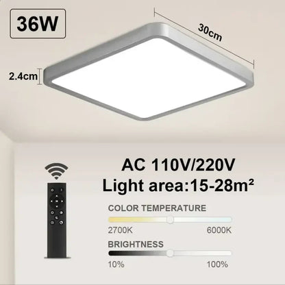 Silvery-Remote-36W