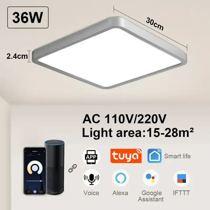 Silvery-Tuya APP-36W