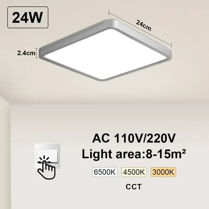 Silvery-Switch-24W