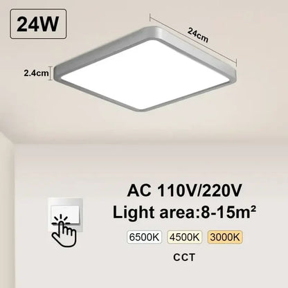 Silvery-Switch-24W