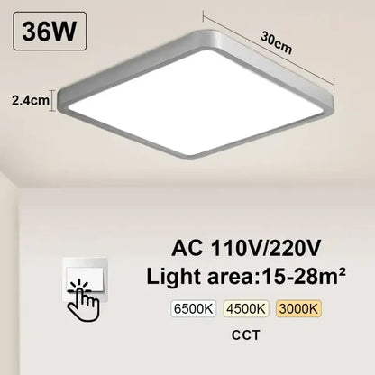 Silvery-Switch-36W