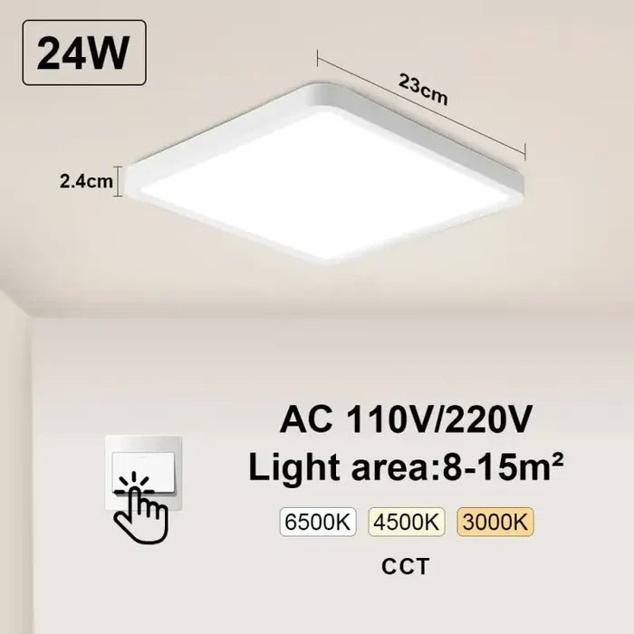 White-Switch-24W