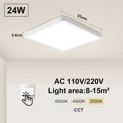 White-Switch-24W