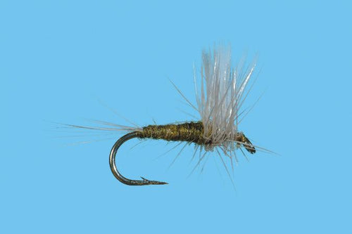 Solitude Blue Wing Olive – Thorax (D070t) 6-Pack
