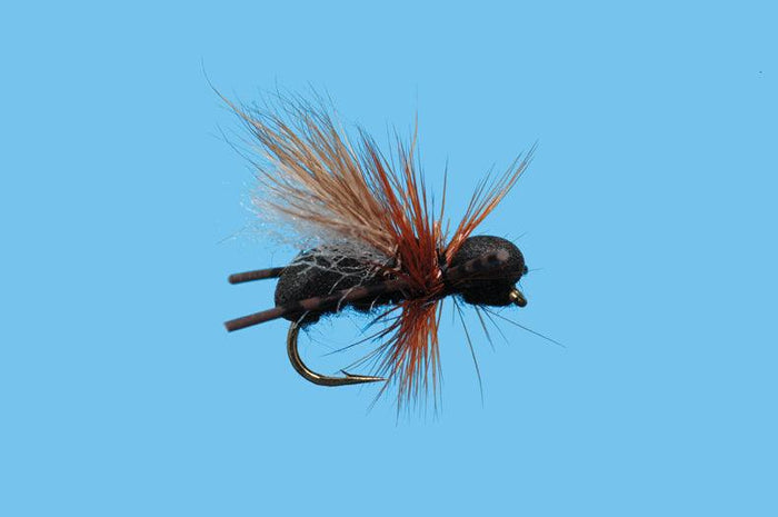 Solitude CFO Ant (T014) 6-Pack