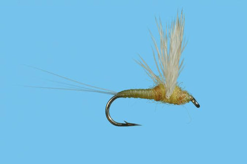 Solitude Comparadun Sulphur (D140) 6-Pack