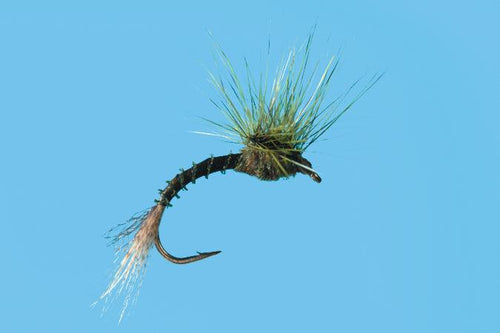 Solitude Green Drake Pullover (D210p) 6-Pack