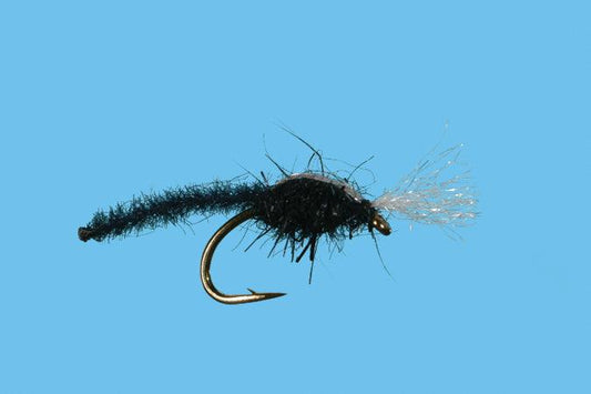 Solitude Palomino Midge (M370) 6-Pack