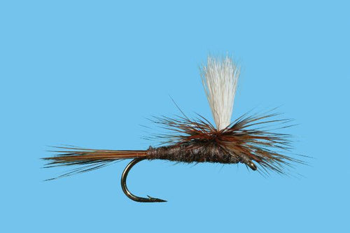 Solitude Parachute Adams (Pd020) 6-Pack