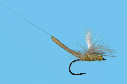 Solitude Parachute Ext Body Pmd (Pd380ex ) 6-Pack