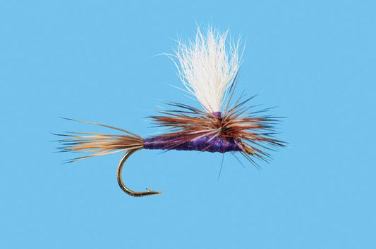 Solitude Parachute Purple Adams (Pd025) 6-Pack