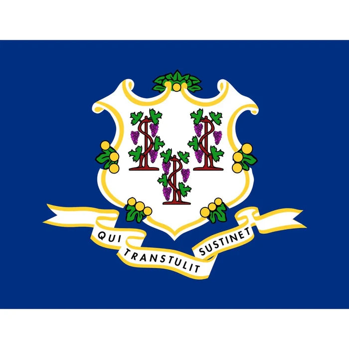 Connecticut / 24" x 36"