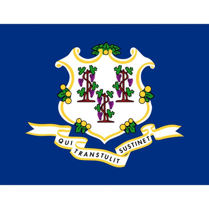 Connecticut / 24" x 36"