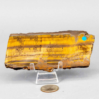 Tiger's Eye Crystal Polished Slice Natural Chatoyant
