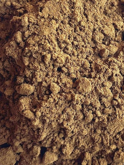 Turkey Tail Mushroom Powder, Organic 4 oz BULK BAG