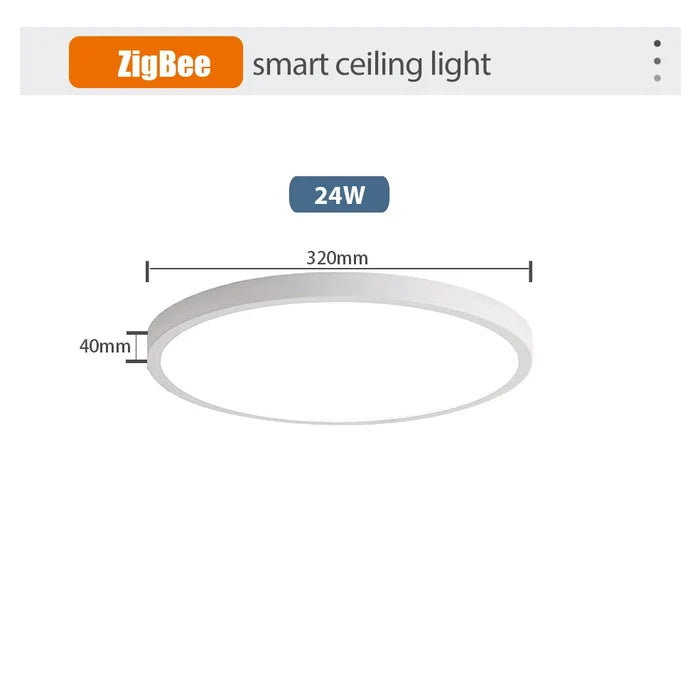 White 24W Zigbee / CHINA