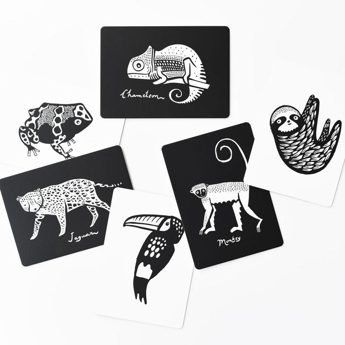 Wee Gallery Art Cards for Baby - Rainforest Collection
