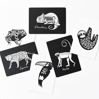 Wee Gallery Art Cards for Baby - Rainforest Collection