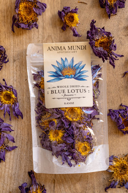Packaged dried blue lotus flowers with Anima Mundi Apothecary label on a wooden surface.